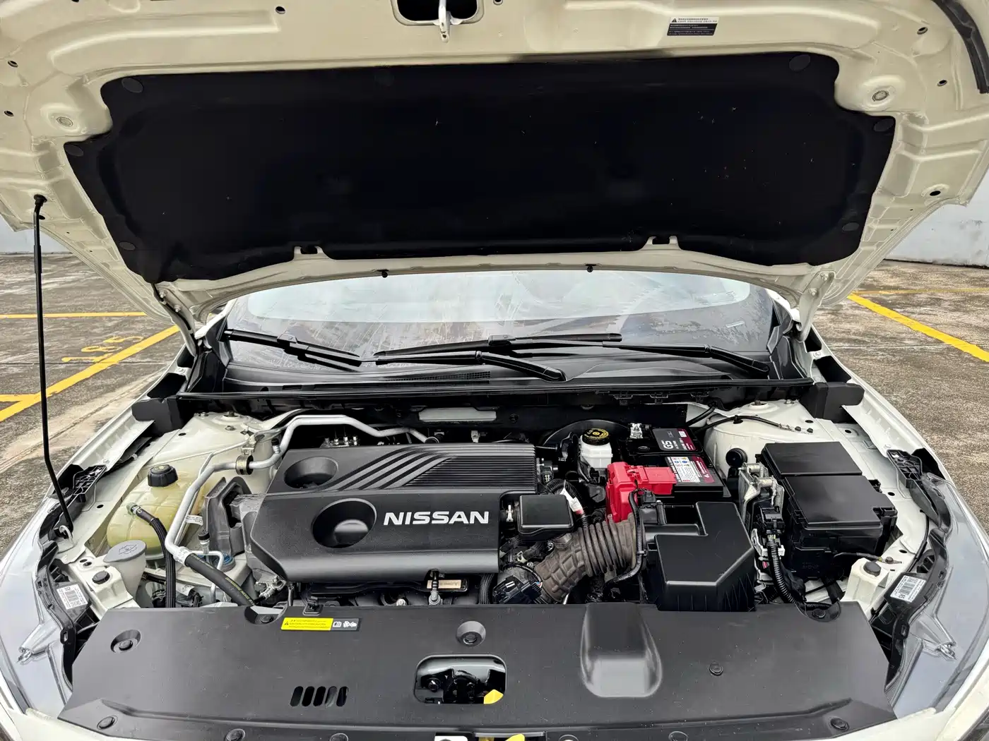 Nissan Sylphy, фото 16