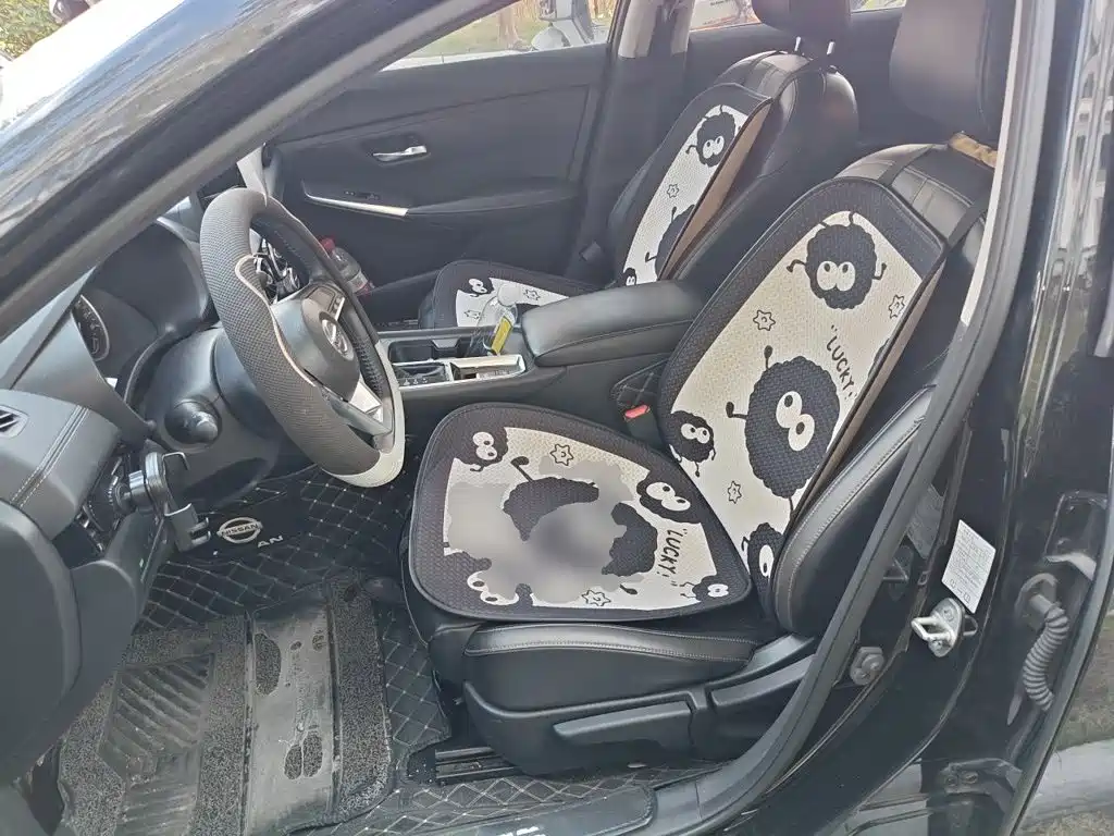 Nissan Sylphy, фото 3