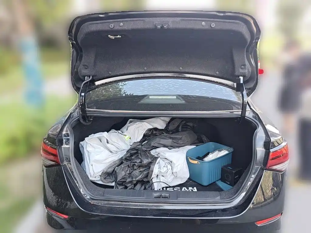 Nissan Sylphy, фото 7