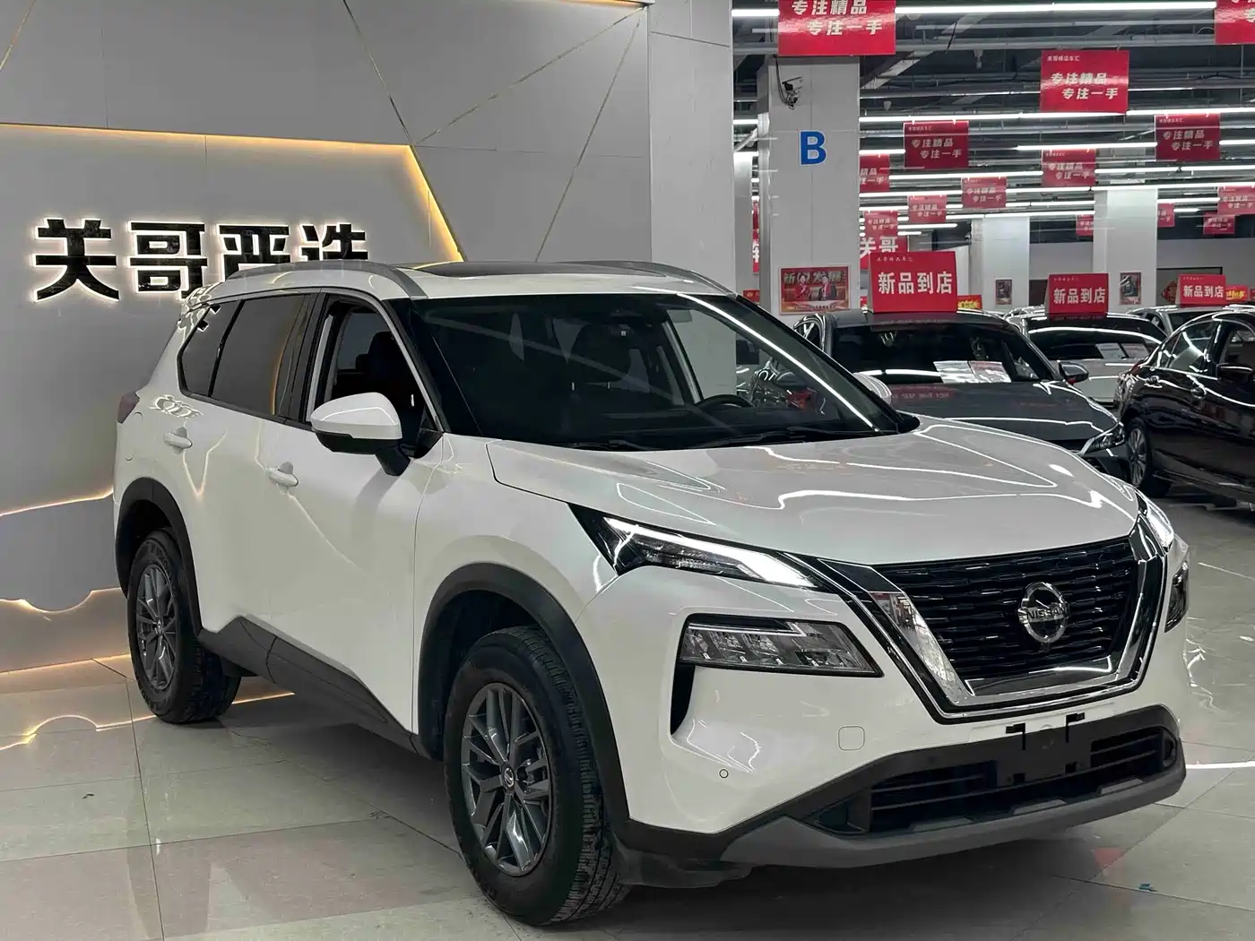 Nissan X-Trail, фото 1