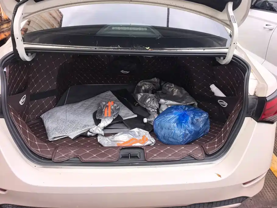 Nissan Sylphy, фото 10