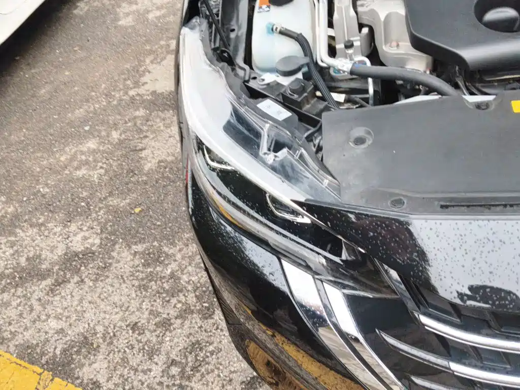 Nissan Sylphy, фото 18