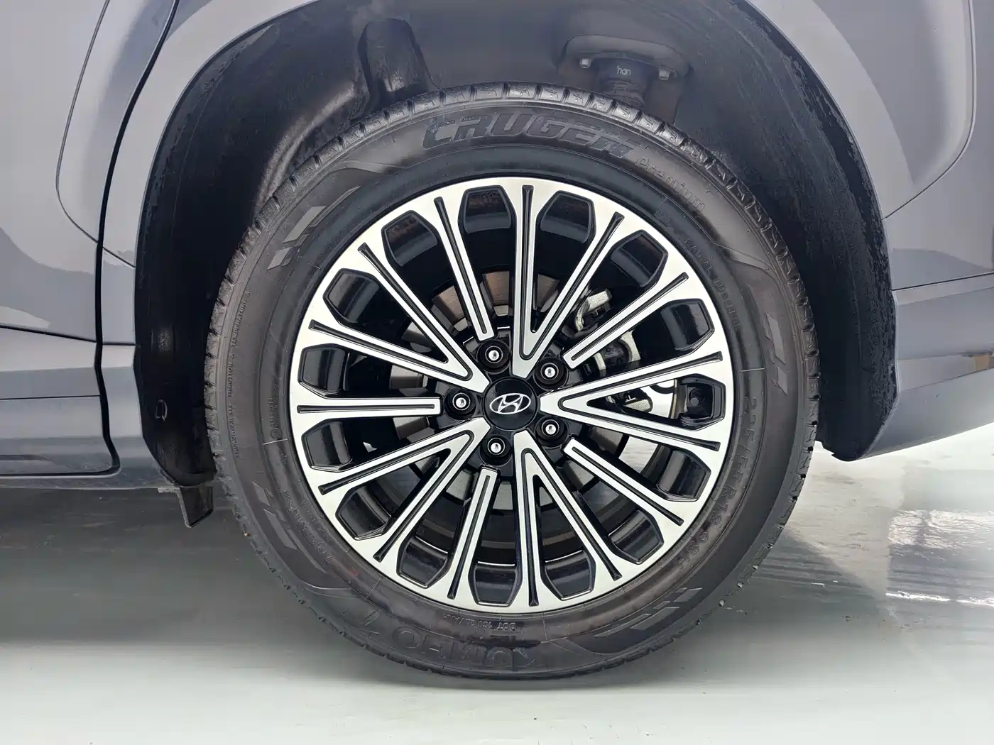 Hyundai Custo, фото 5