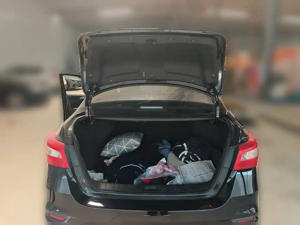 Nissan Sylphy, фото 12