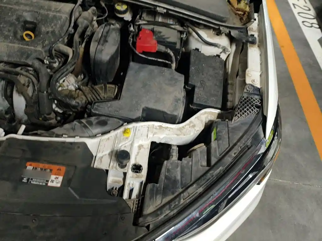 Ford Escort, фото 14