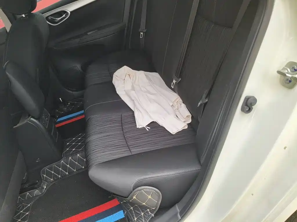Nissan Sylphy, фото 10