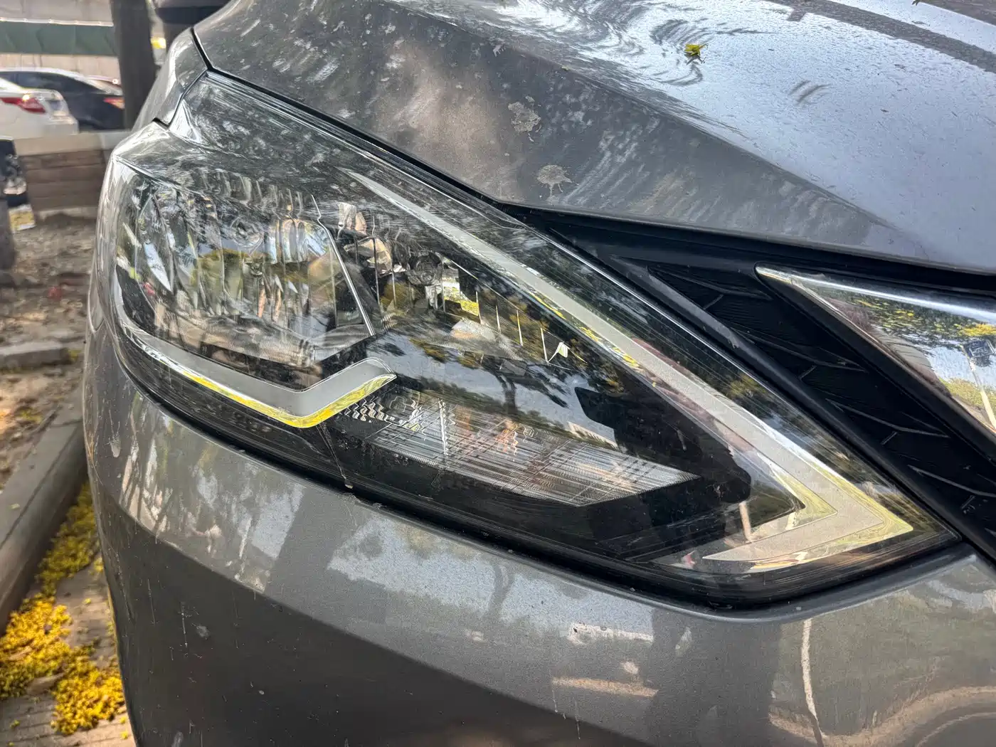 Nissan Sylphy, фото 6
