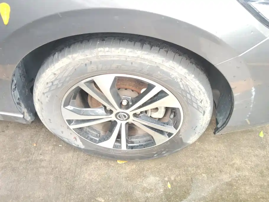 Nissan Sylphy, фото 12