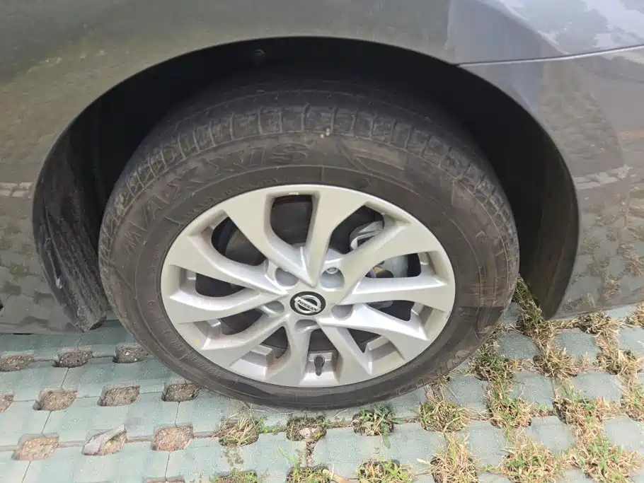 Nissan Sylphy, фото 12