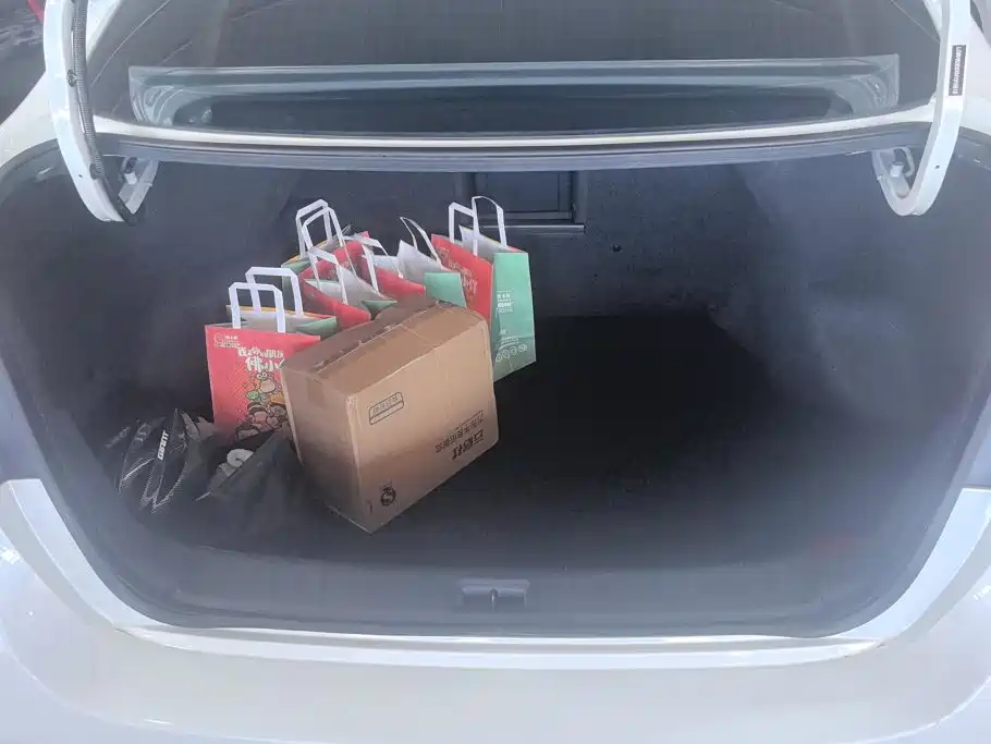 Nissan Sylphy, фото 10