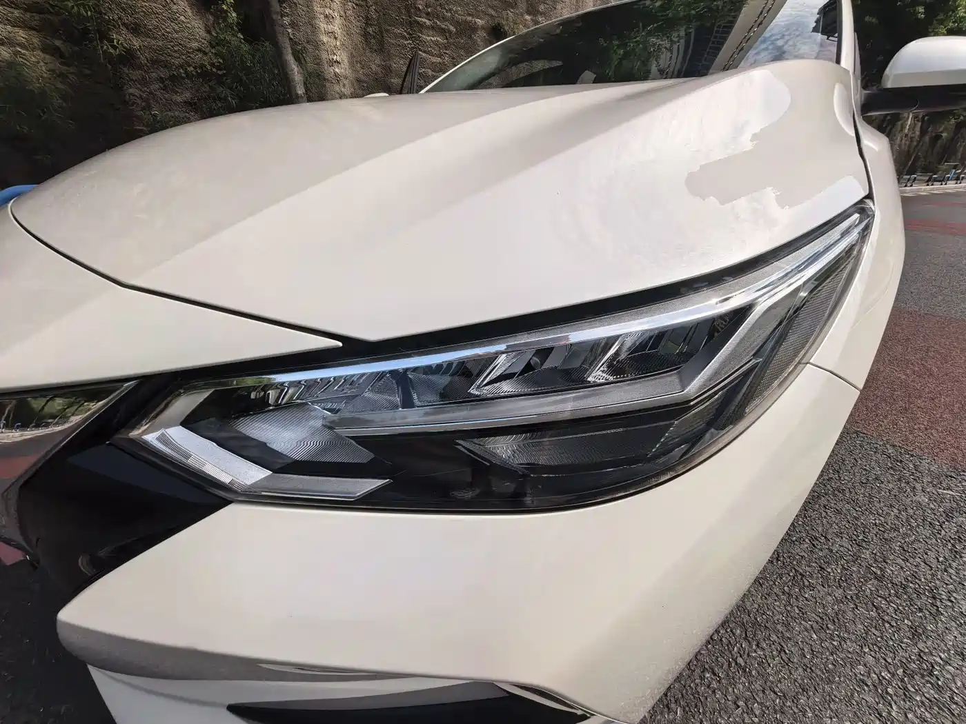 Nissan Sylphy, фото 5