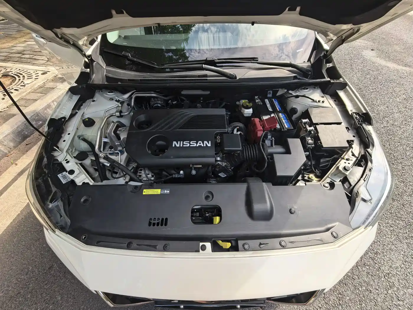 Nissan Sylphy, фото 8