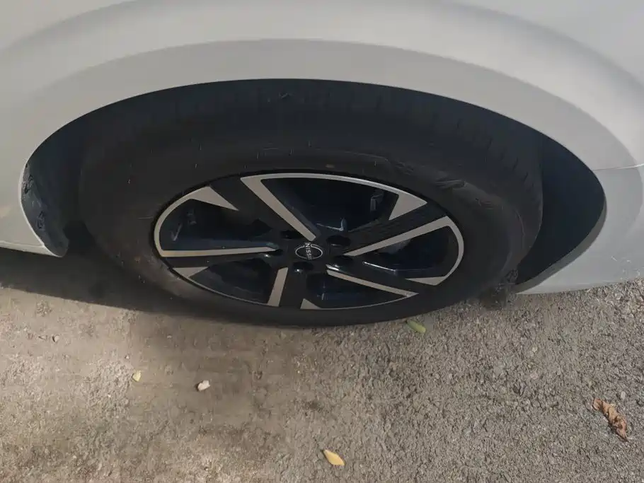 Nissan Sylphy, фото 12