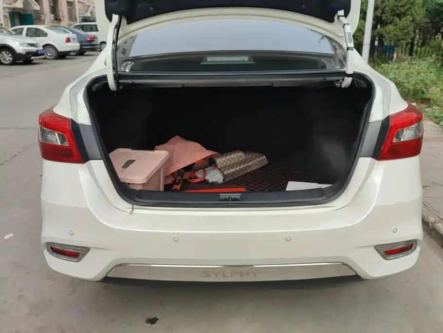 Nissan Sylphy, фото 10