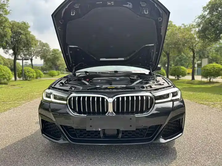BMW 5 Series, фото 23