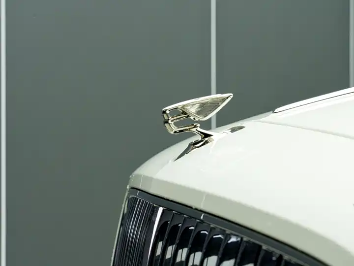 Bentley Flying Spur, фото 4