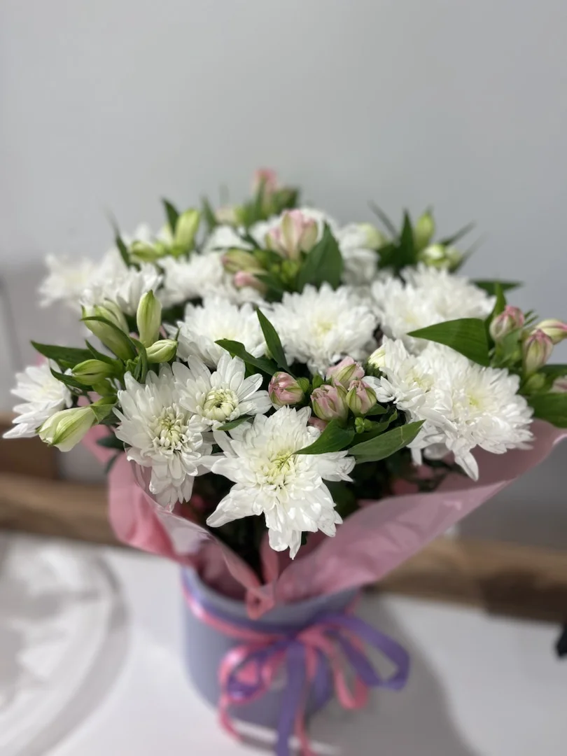 композиция 46
