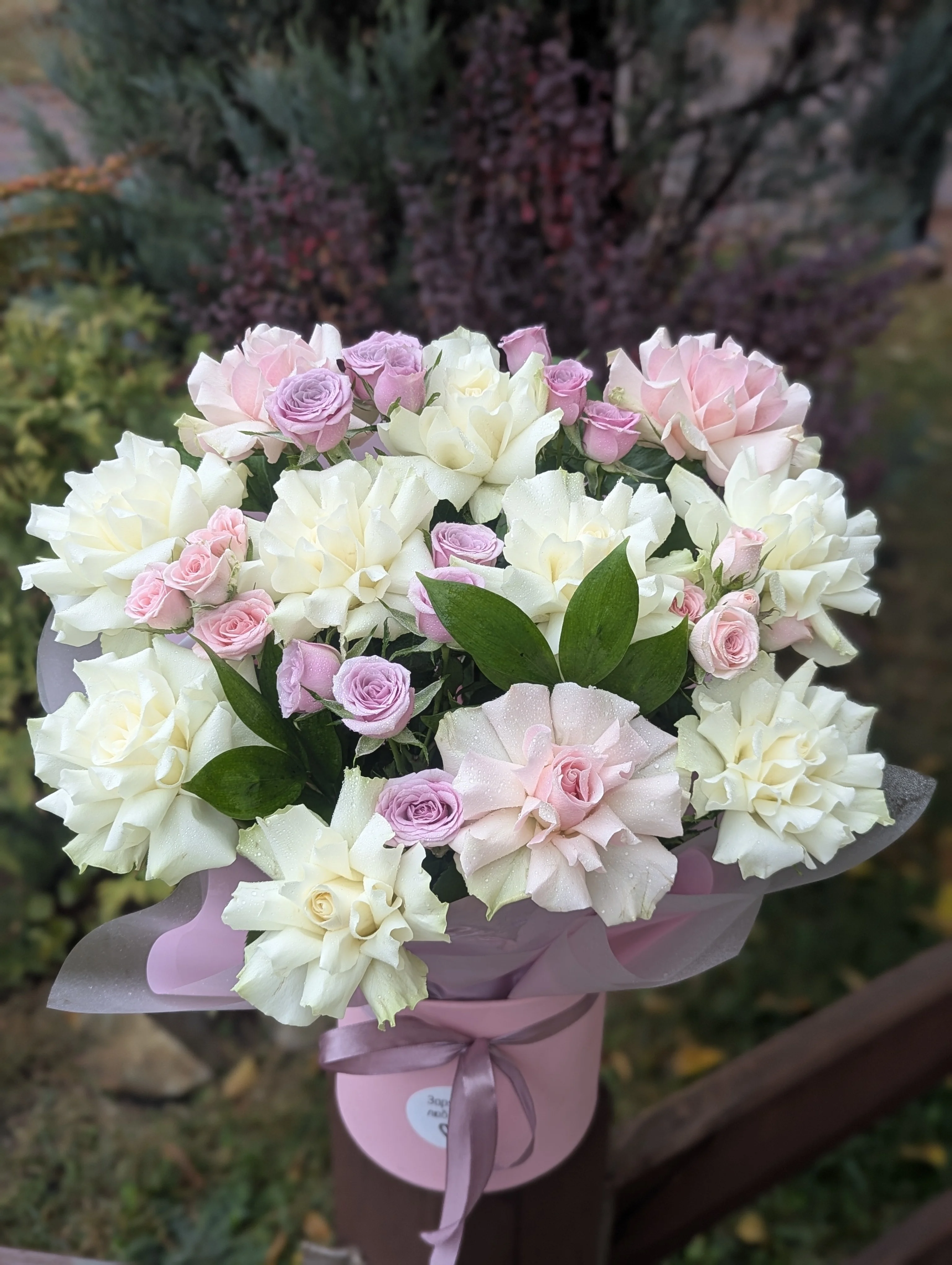композиция 47