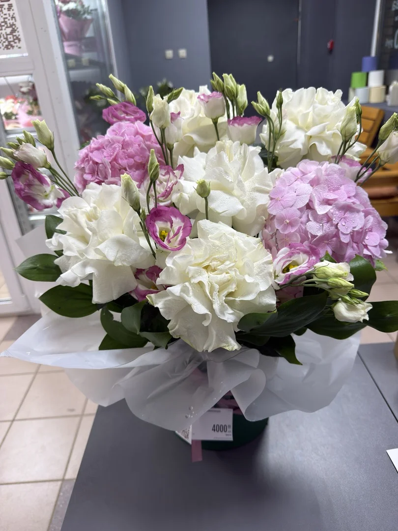 композиция 537723