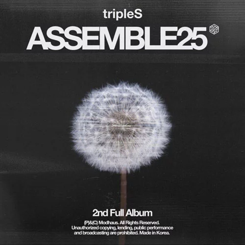 ASSEMBLE25