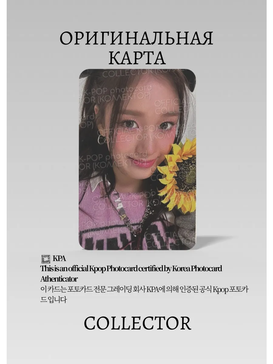 Джэй STAYC TEDDY BEAR | DIGIPACK Альбомная Официальная K-pop фотокарта (CA/ST/TB/DI/06)