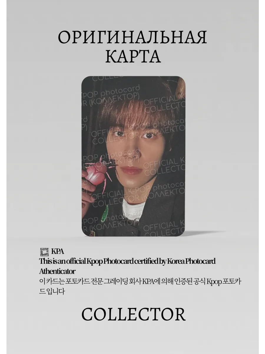 Хендери WAYV GIVE ME THAT | Альбомная Официальная K-pop фотокарта (CA/WV/GMT/A/05)
