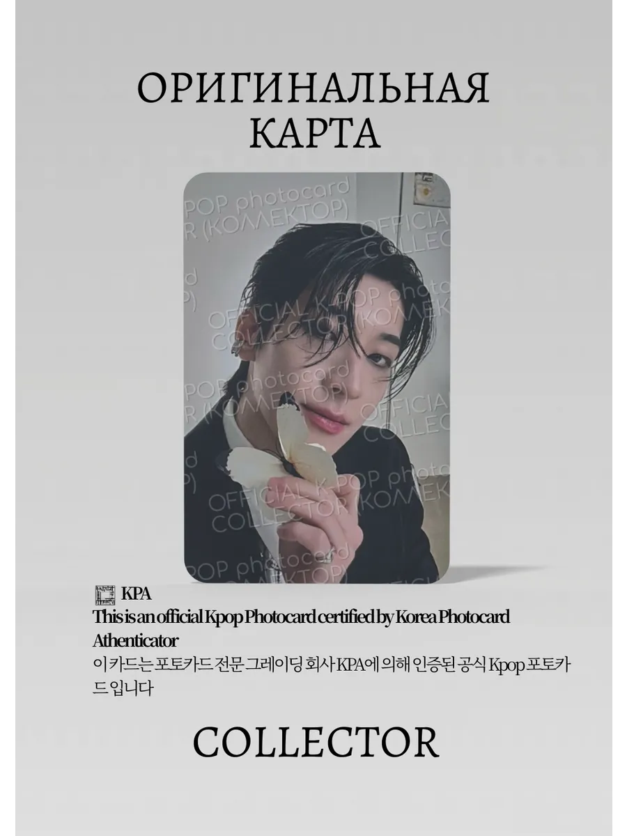 Ванву SEVENTEEN THIS MAN | KIT Альбомная Официальная K-pop фотокарта (CA/SV/TM/KB/06)