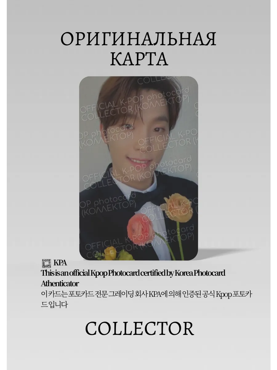 Дино SEVENTEEN FML | CARAT Альбомная Официальная K-pop фотокарта (CA/SV/13)