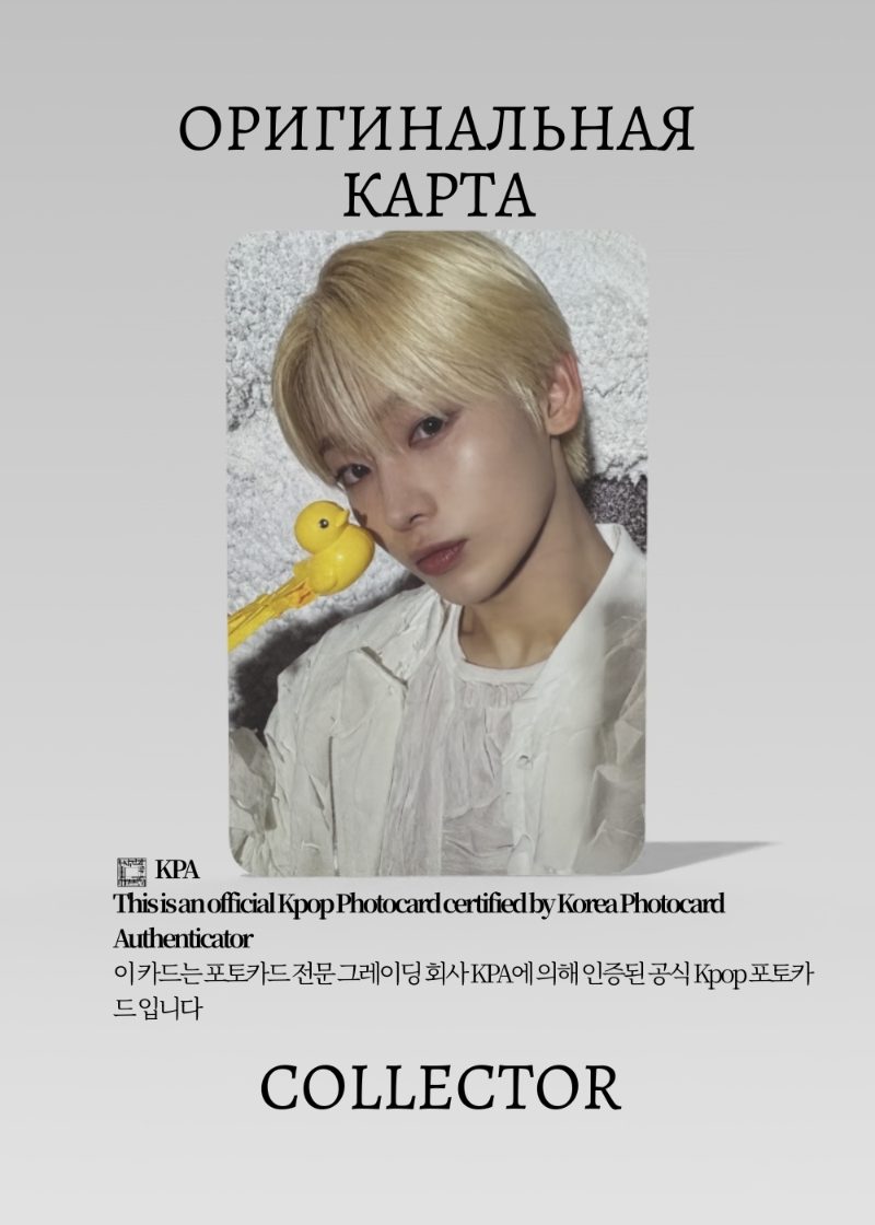 Сону ENHYPEN DAYDREAM | WEVERSE Альбомная Официальная K-pop фотокарта (CA/EN/DD/W/105)