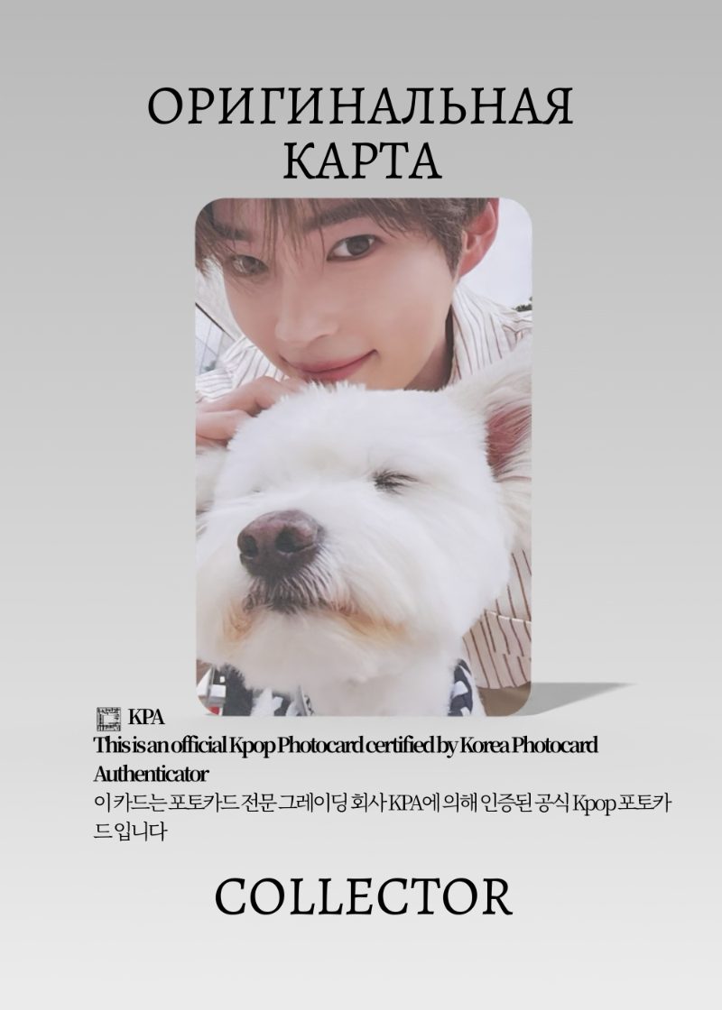 Ханбин ZB1 NEVER SAY NEVER | DIGIPACK Альбомная Официальная K-pop фотокарта (CA/ZB/NSN/DI/303)