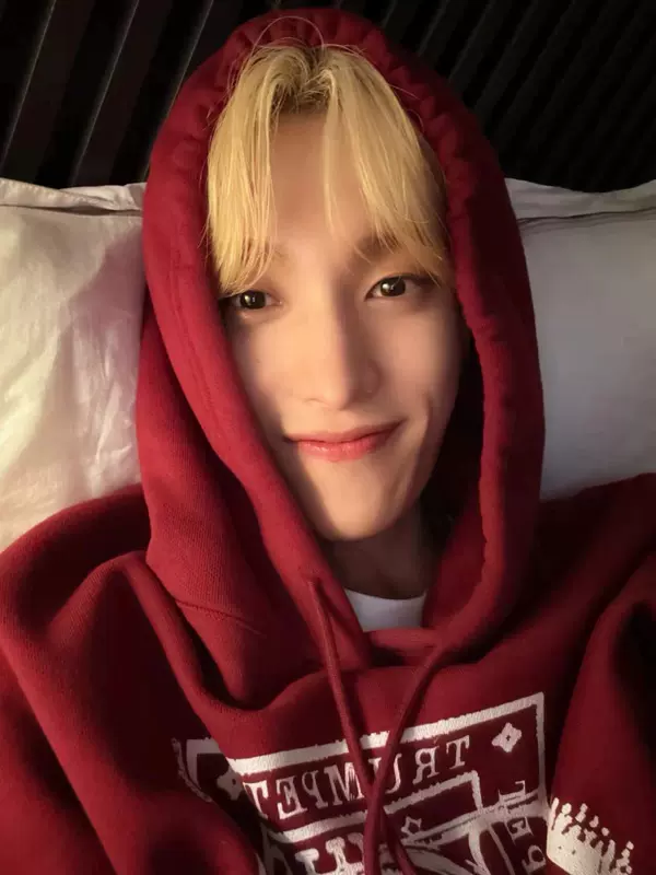 Мингю, Догём SEVENTEEN | Худи S-4XL (CLO-SVT-HOOD-MINGYU-DK)