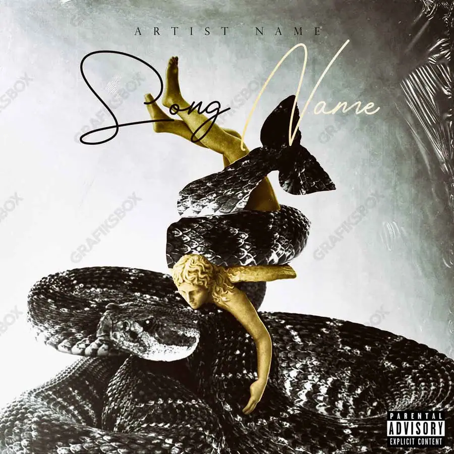 Portada de álbum prediseñada «Savage» — una idea visual original sin equivalente cercano en el catálogo, en una paleta monocroma