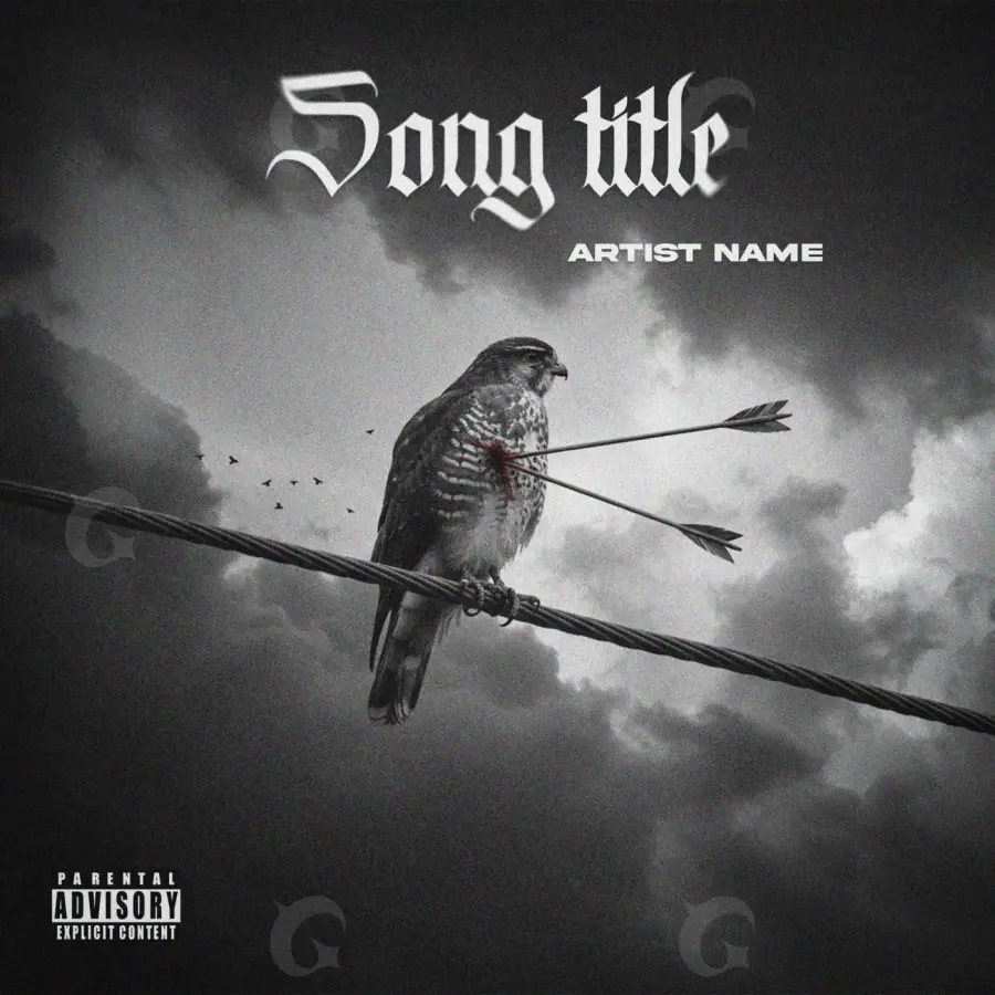 Music cover artwork “Black Bird”: bird and cloud, black and white tones
