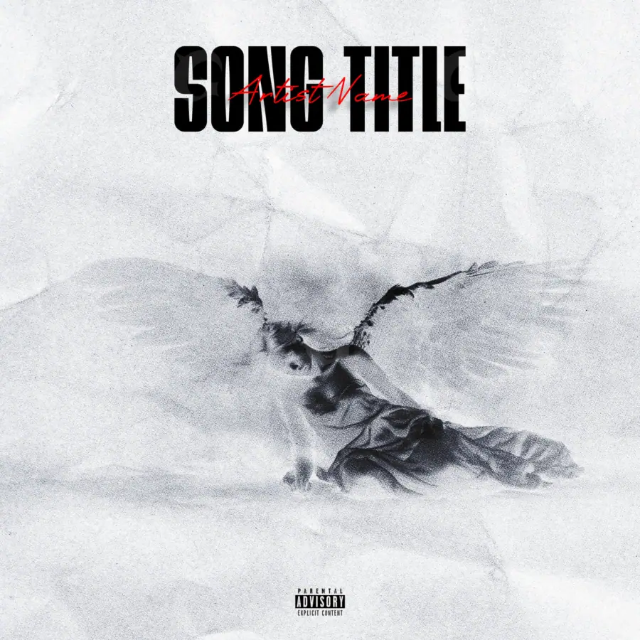 Music cover artwork “Black Bird”: bird, black and white tones