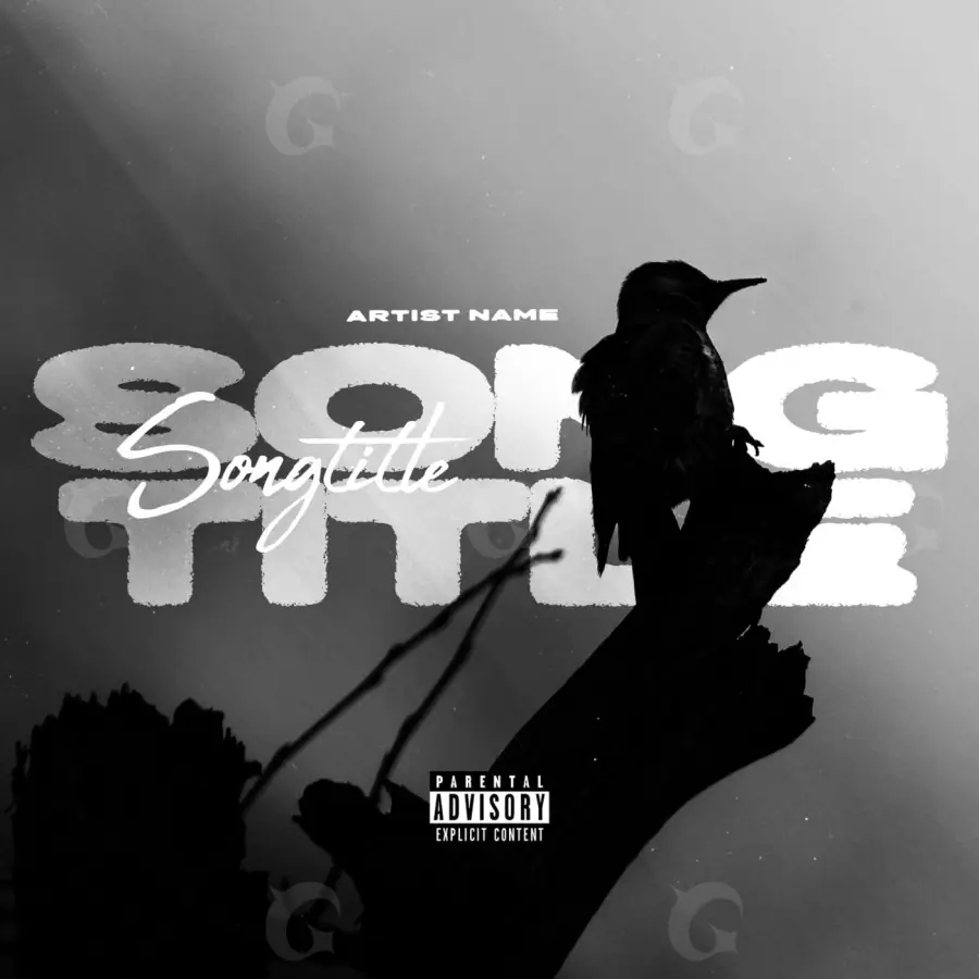 Premade cover art “Black Bird”: bird, black and white tones