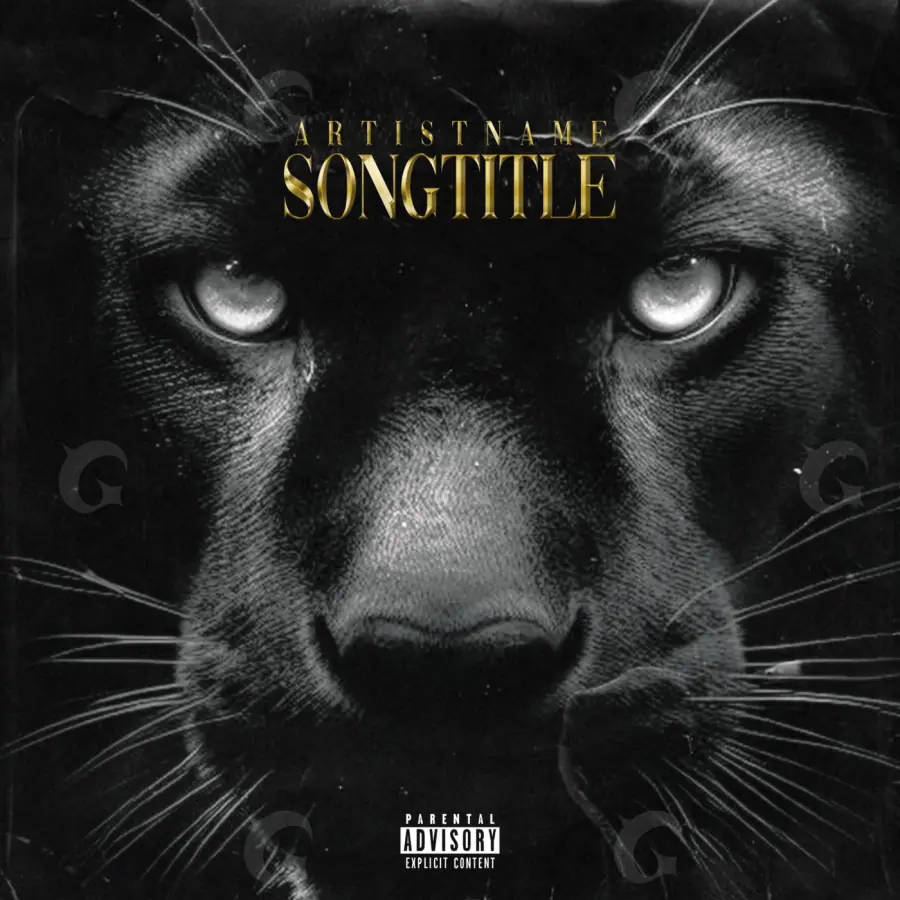Premade cover art “Black Cat”: cat and eyes, black and white tones