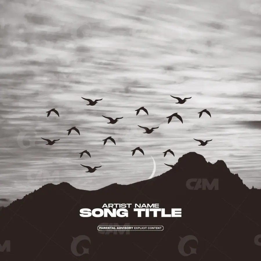 Album cover art “Black Mountain”: mountain and bird, black and white tones
