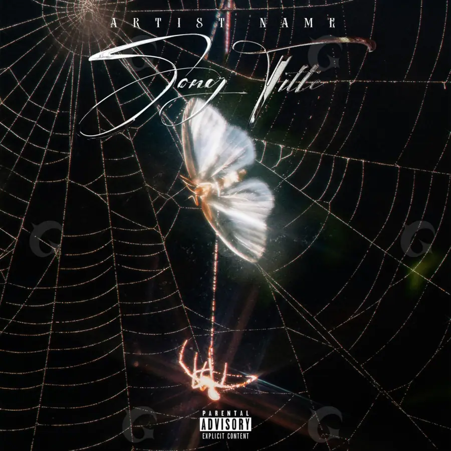 Arte de portada musical «Black Spider»: araña; color blanco y negro