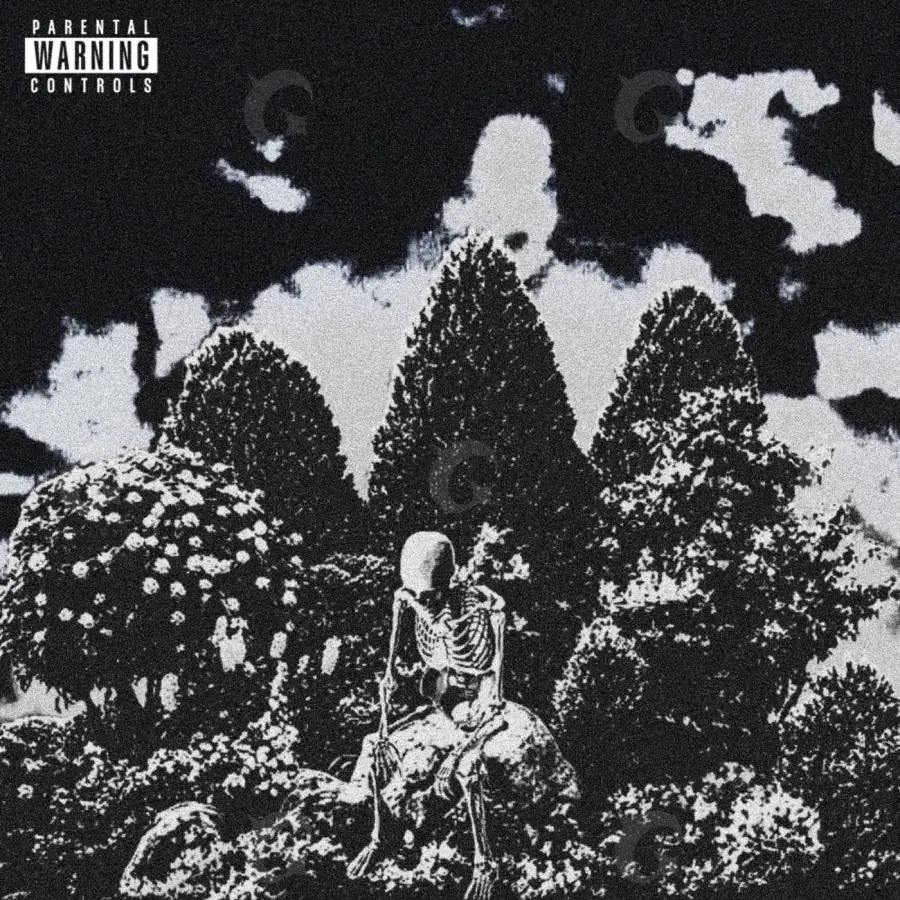 Portada para canción «Black Tree»: árbol; color blanco y negro