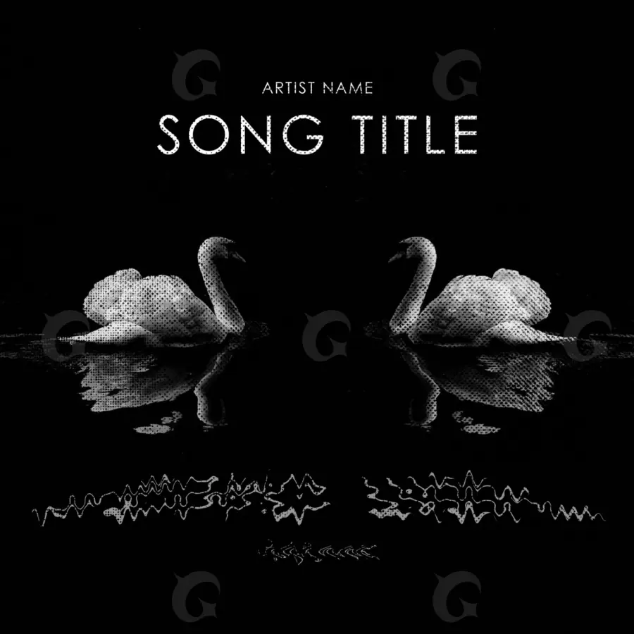 Album cover art “Black Water”: water, black and white tones