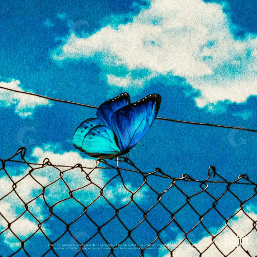 Готовая обложка для трека «Blue Butterfly»: бабочка и металл; палитра — синяя