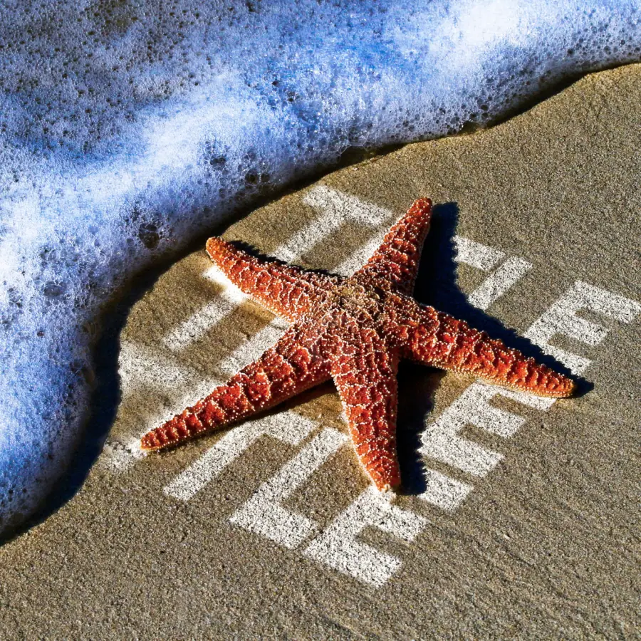 Arte de portada musical «Blue Wave»: ola y estrella; color azul