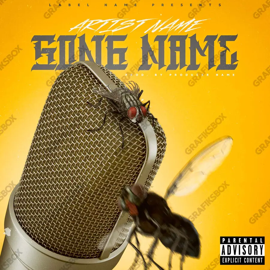 Premade album cover “Flying Studio” — a landscape with a wide, open horizon in orange shades