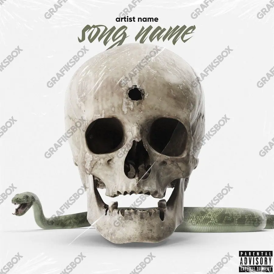 Premade album cover “Skull Snake” — harsh imagery in a low-key frame in a black and white palette