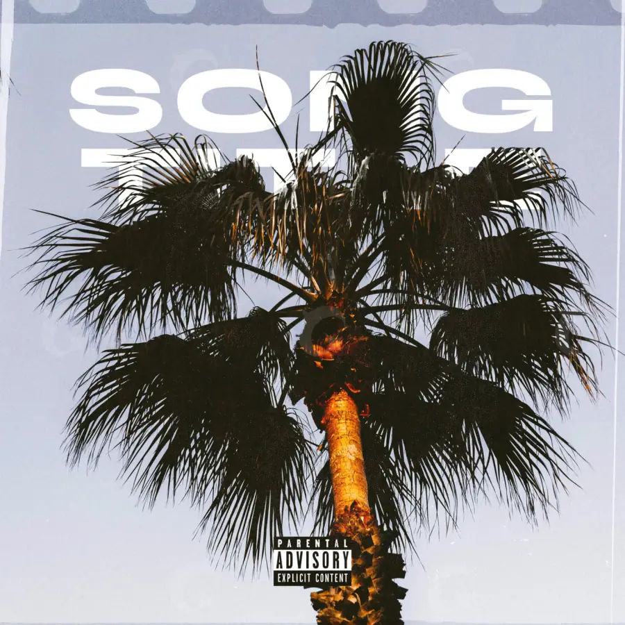 Premade cover art “Orange Palm”: palm and tree, orange tones