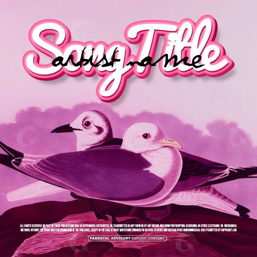 Album cover art “Pink Bird”: bird, pink tones