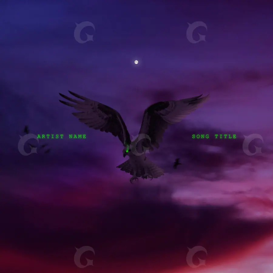 Обложка для альбома «Purple Bird»: птица и облако; палитра — фиолетовая