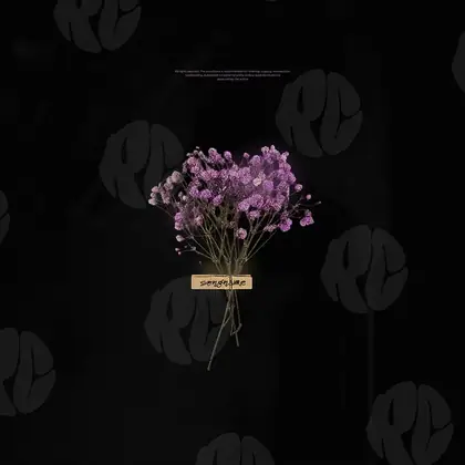 Обложка для трека «Laced Blooms»