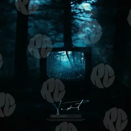 Обложка для трека «TV in the forest»