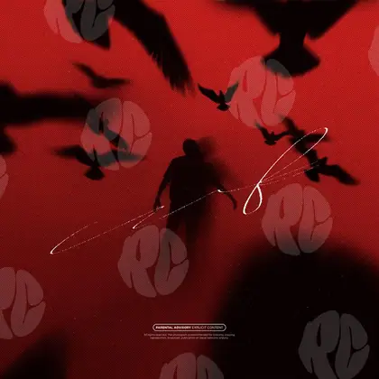 Обложка для трека «Birds and man»